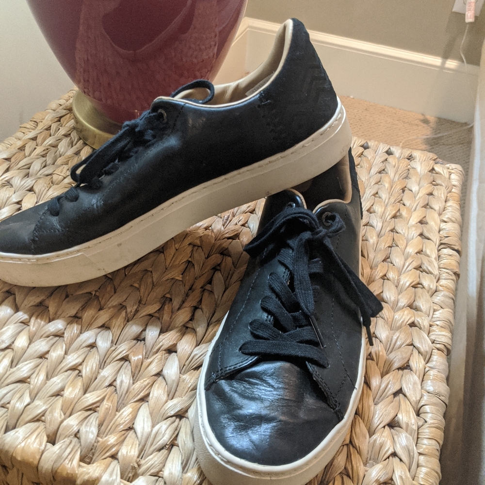 Toms Leather Sneakers